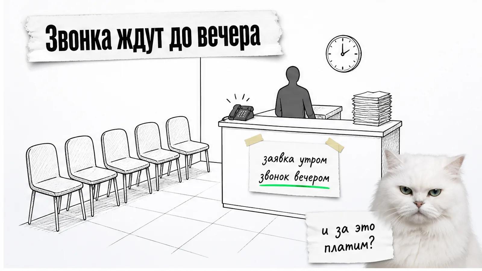 Пустая приёмная клиники, один администратор у звонящего телефона, рядом насупленный белый пушистый кот