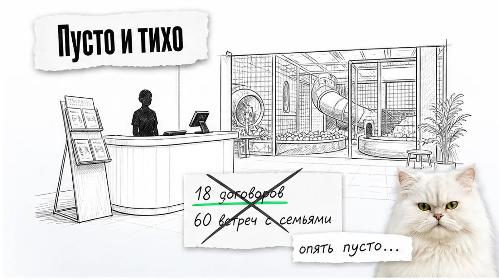 Пустая зона кассы детского центра, один сотрудник и скептичный белый кот.