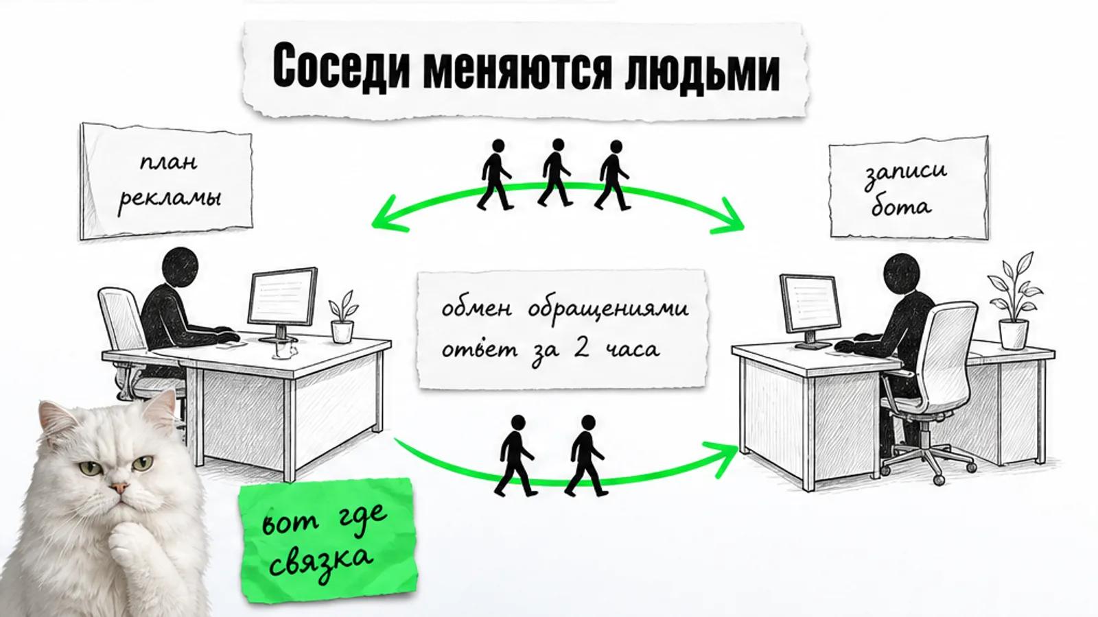Кабинеты поставщика ботов и агентства соединены зелёной стрелкой, кот удивлён