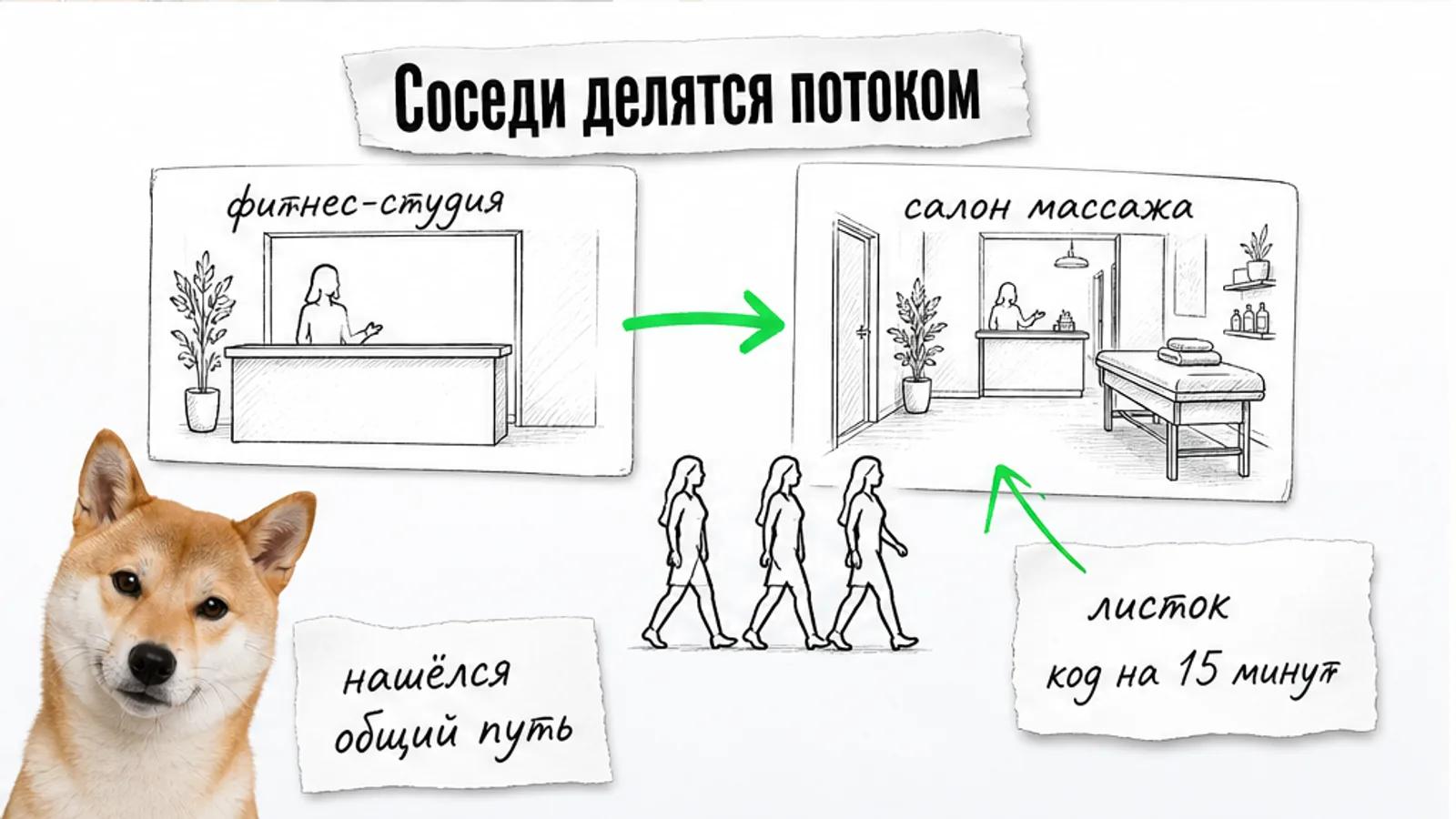 Клиентки идут из фитнес-студии в салон по зелёной стрелке; рядом удивлённая сиба-ину.
